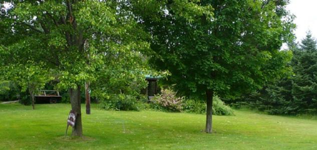 The South Glenora Tree Farm Acomodação com café da manhã Dundee Exterior foto
